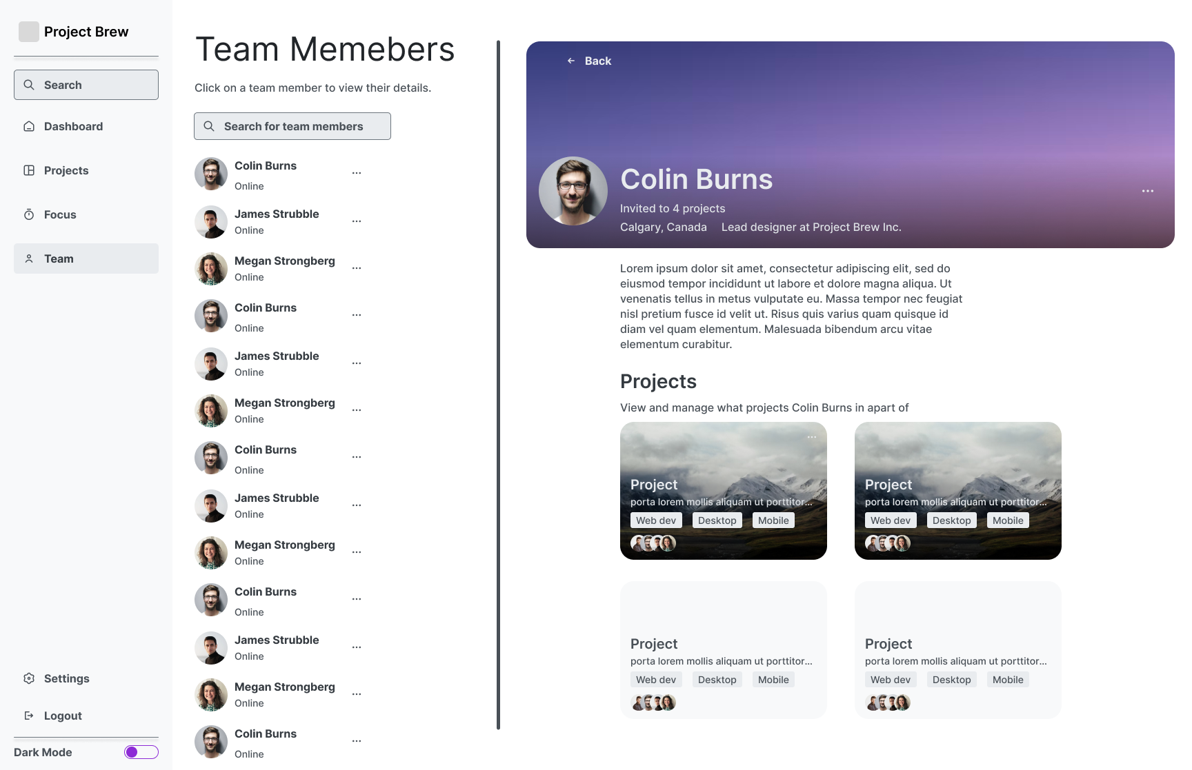 the main projects page
